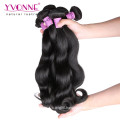 Remy Human Hair Virgin Malaysian Human Hair Extensions